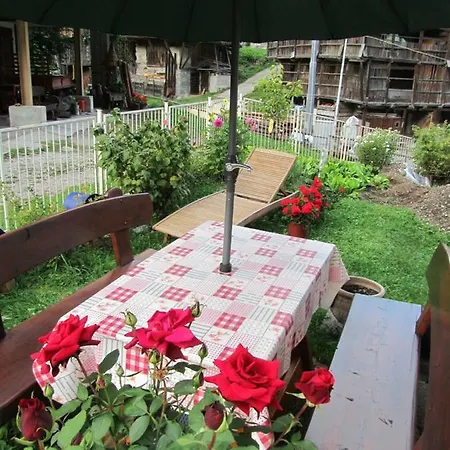 Ciesa Dei Maestri Sottoguda